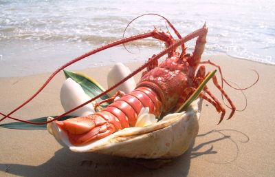 Lobster